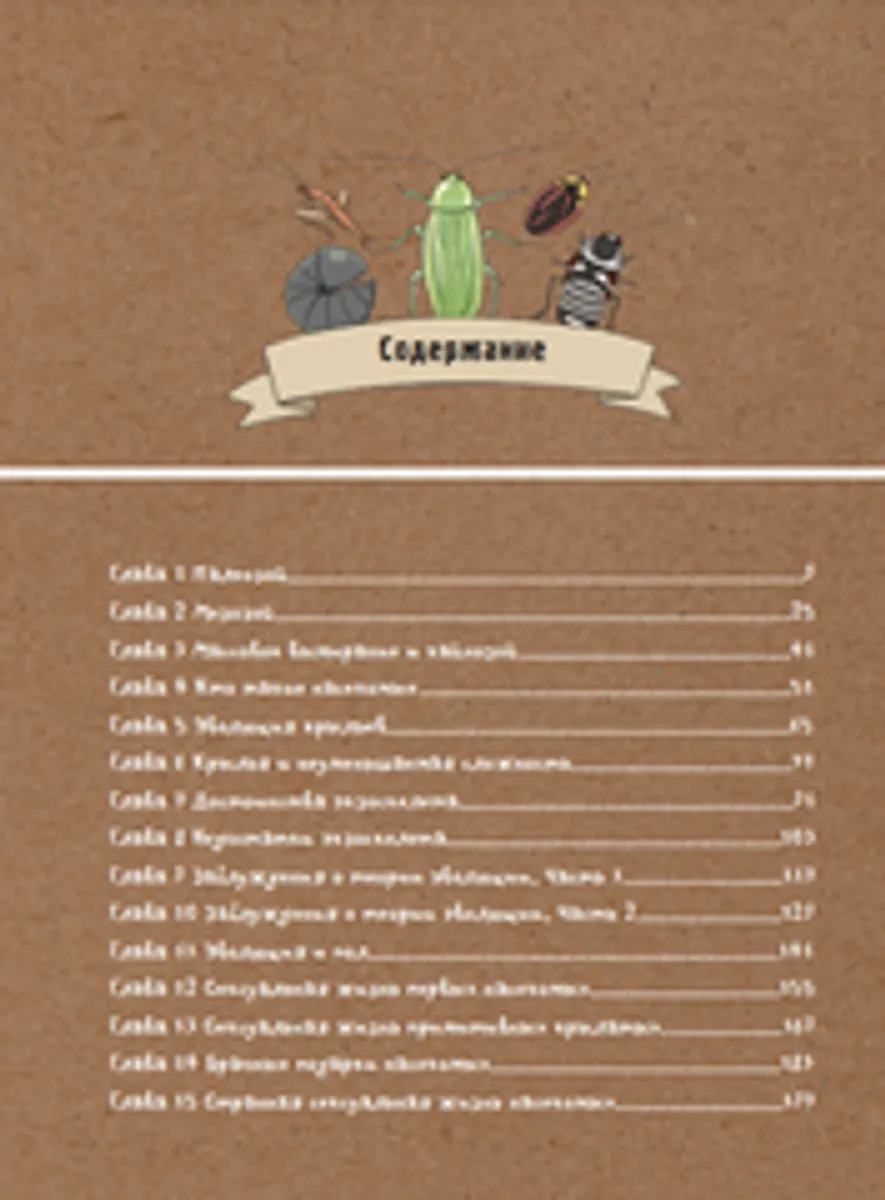 Фантастическая эволюция насекомых