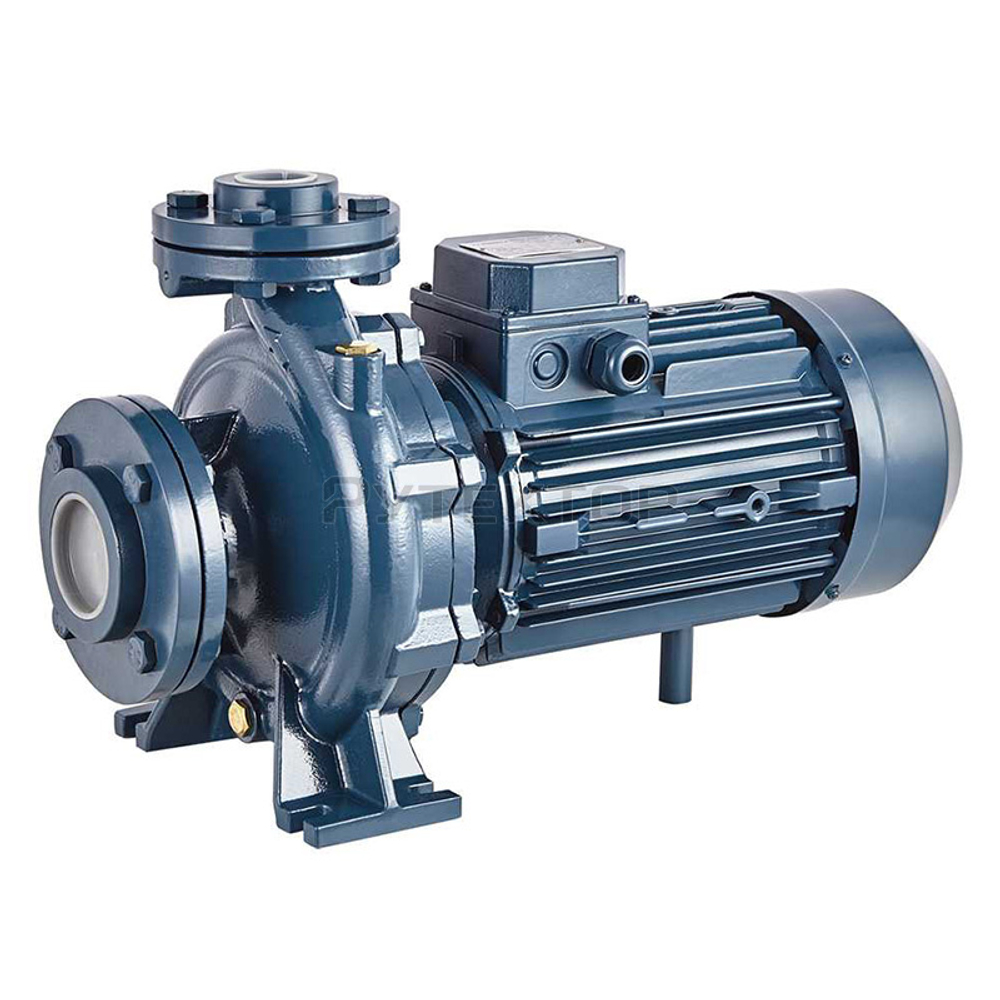 Консольно-моноблочный фланцевый насос PURITY PSTC 65-250-370 (N)