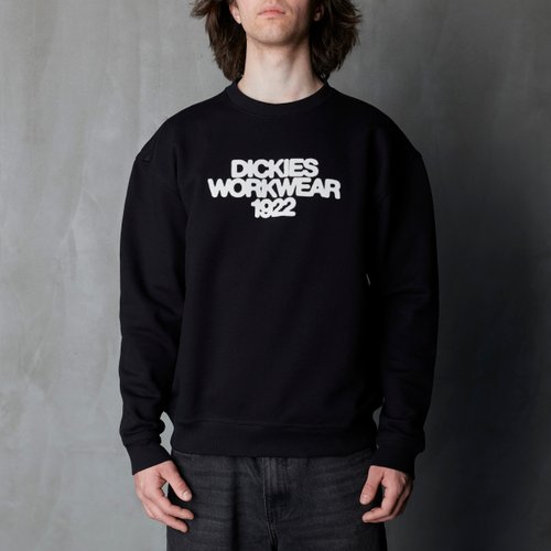 Толстовка Dickies Torrey Sweatshirt артикул:DK0A88BSBLK1 - купить в магазине Дайс