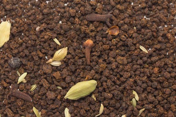 Masala (indyjska herbata korzenna)