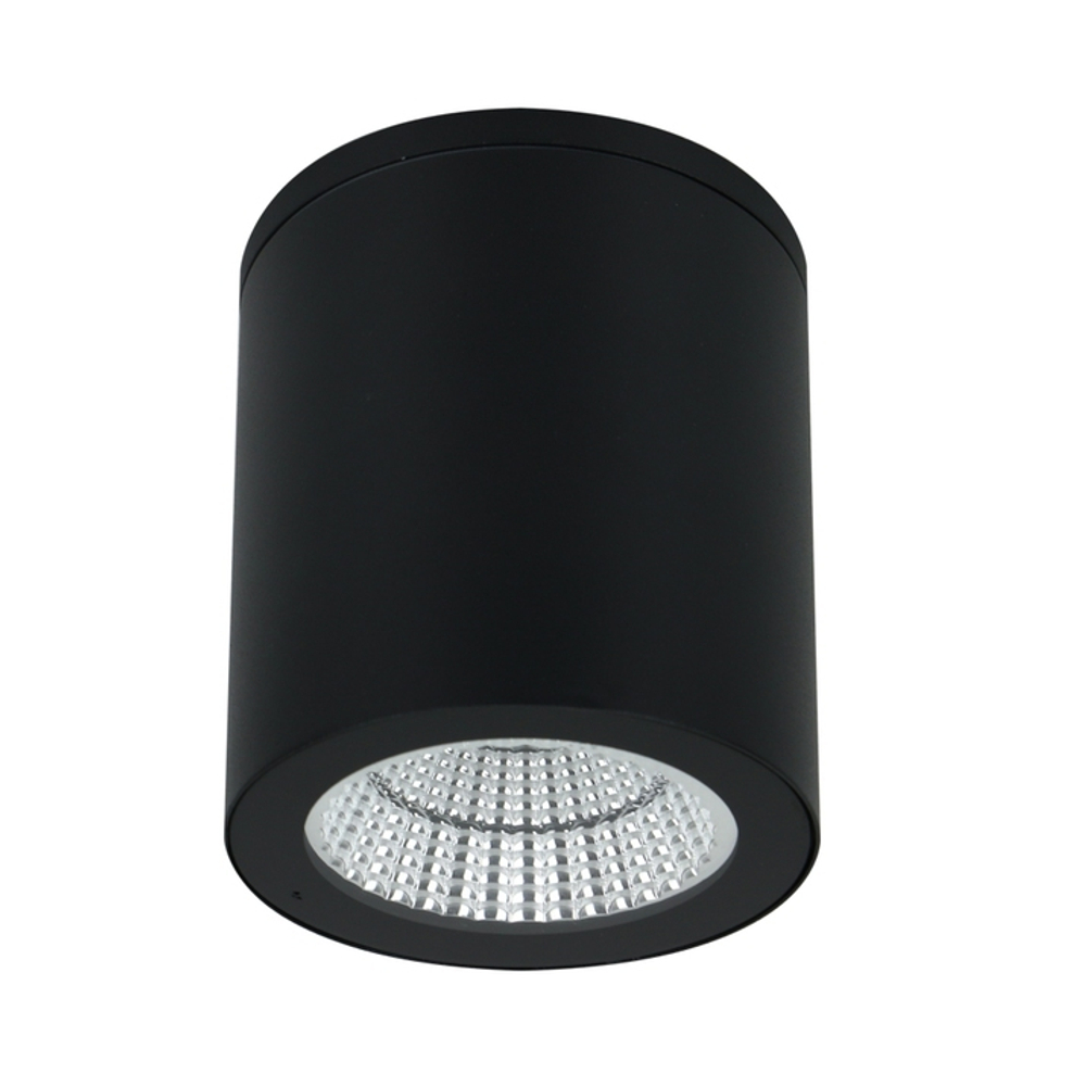Накладной светодиодный светильник Arte Lamp TORCULAR A1813PF-1BK