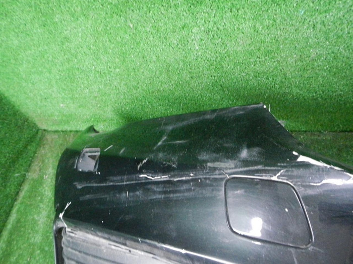 DSCN4613.JPG