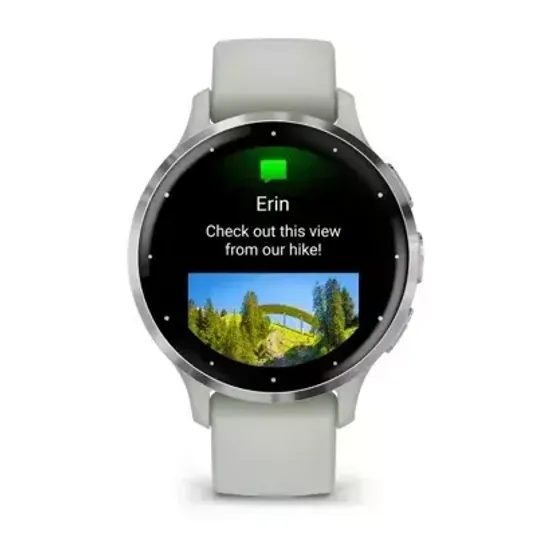 Смарт-часы Garmin VENU 3S sage grey case and silicone band 010-02785-01
