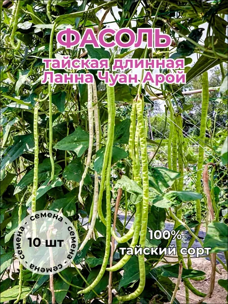 Фасоль длинная Ланна Чуан Арой — семена, 10 шт.