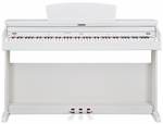 Becker BPP-22