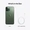 Apple iPhone 13 Pro Max 1TB Alpine Green (Альпийский зелёный)