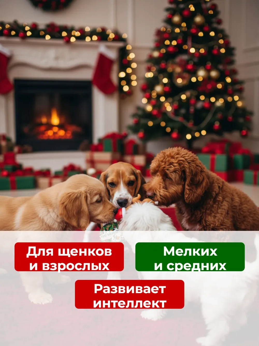 Набор игрушек для собак