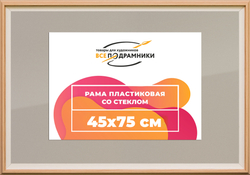Рамка 45x75 для постера и фотографий