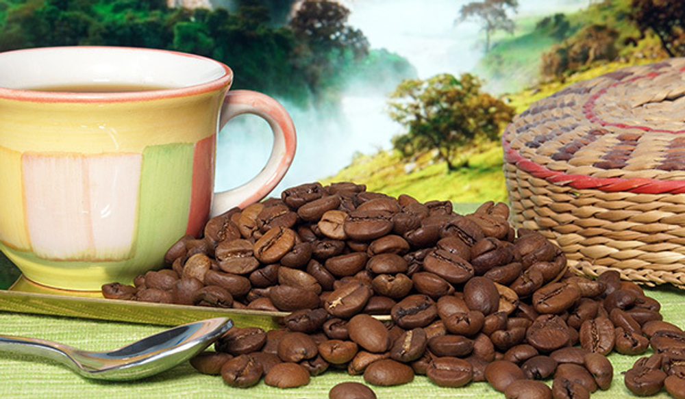 Кофе в зернах Santa Fe Эфиопия Guji Арабика 1кг