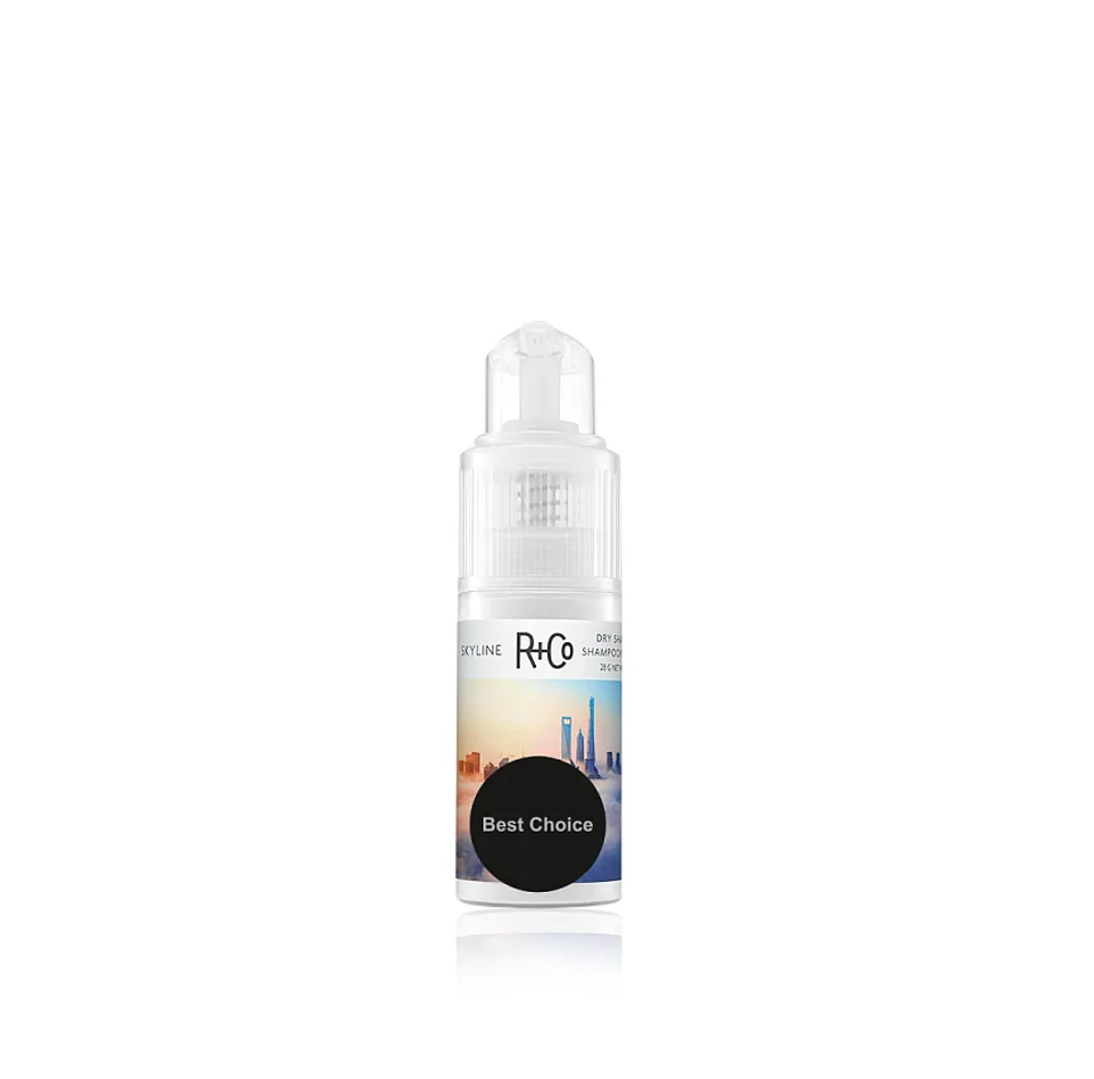 R+Co SKYLINE Dry Shampoo Powder/ГОРИЗОНТ сухой шампунь, 28г