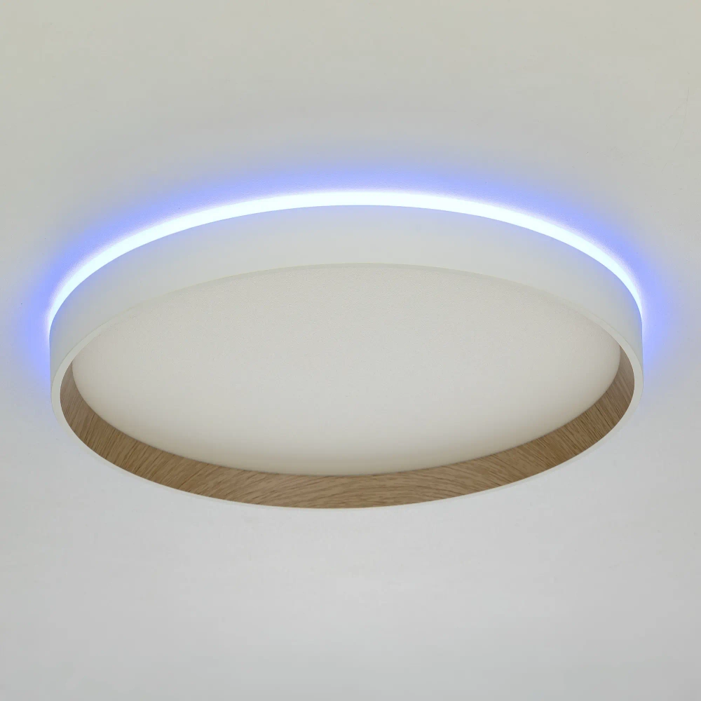 Потолочный светодиодный светильник Citilux Etalon CL750320R