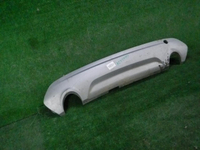 DSCN1295.JPG