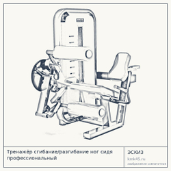 Тренажёр сгибание/разгибание ног сидя профессиональный — от 163 000 ₽