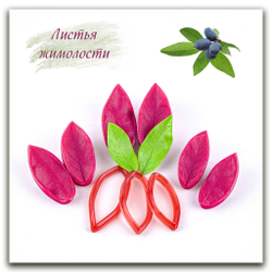 Листья жимолости