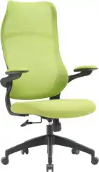 Кресло Cactus CS-MC505 салатовый сиденье салатовый сетка/ткань крестов. пластик пластик черный