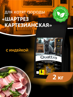 Корм сухой для котят породы Шартрез Картезианская, с индейкой, 2 кг, QUATTRO