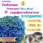 Семена Бархатцы низкорослые желтые махровые Марвел + торфяные таблетки Jiffy в подарок, 5шт