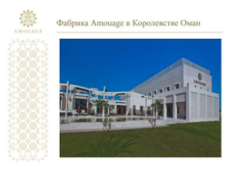 Amouage Парфюмерная вода Ashore woman 100 мл