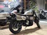 TRIUMPH SCRAMBLER 1200 X 2024