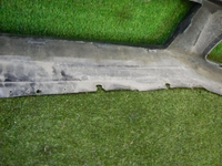 DSCN2331.jpg