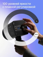 Осветитель светодиодный Raylab RL-100BI 2700-6500K 100W 5000mAh c аксессуарами
