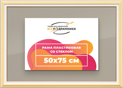 Рамка 50x75 для постера и фотографий