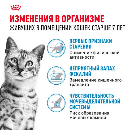 Royal Canin Indoor +7 для пожилых кошек и котов старше 7 лет, живущих в доме