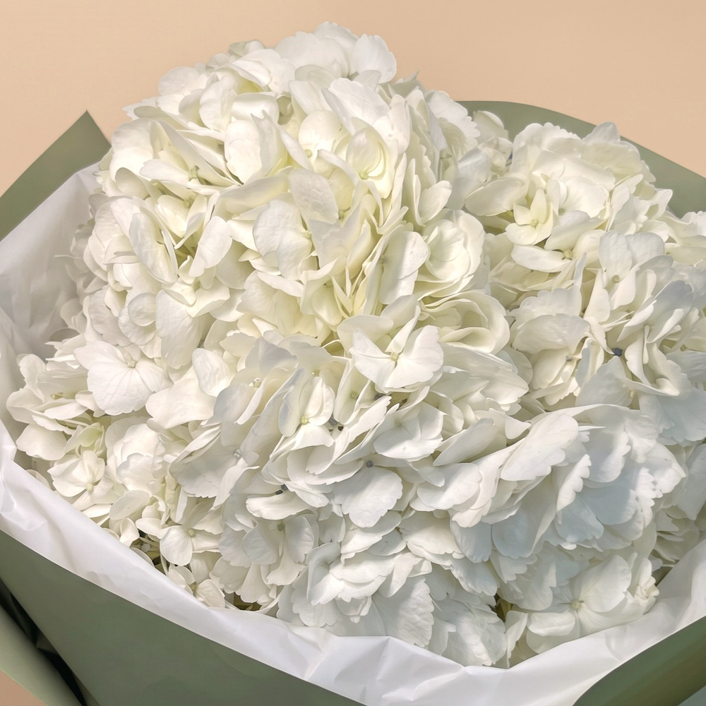 Пять белых гортензий Pure White