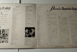 Винтажная виниловая пластинка LP Elvis Presley Paradise, Hawaiian Style (Japan 1966) (No Obi)