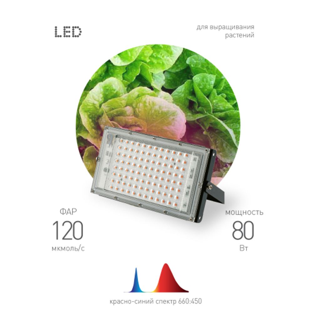 Фитопрожектор для растений светодиодный ЭРА FITO-80W-RB-LED-Y красно-синего спектра | Фито прожекторы