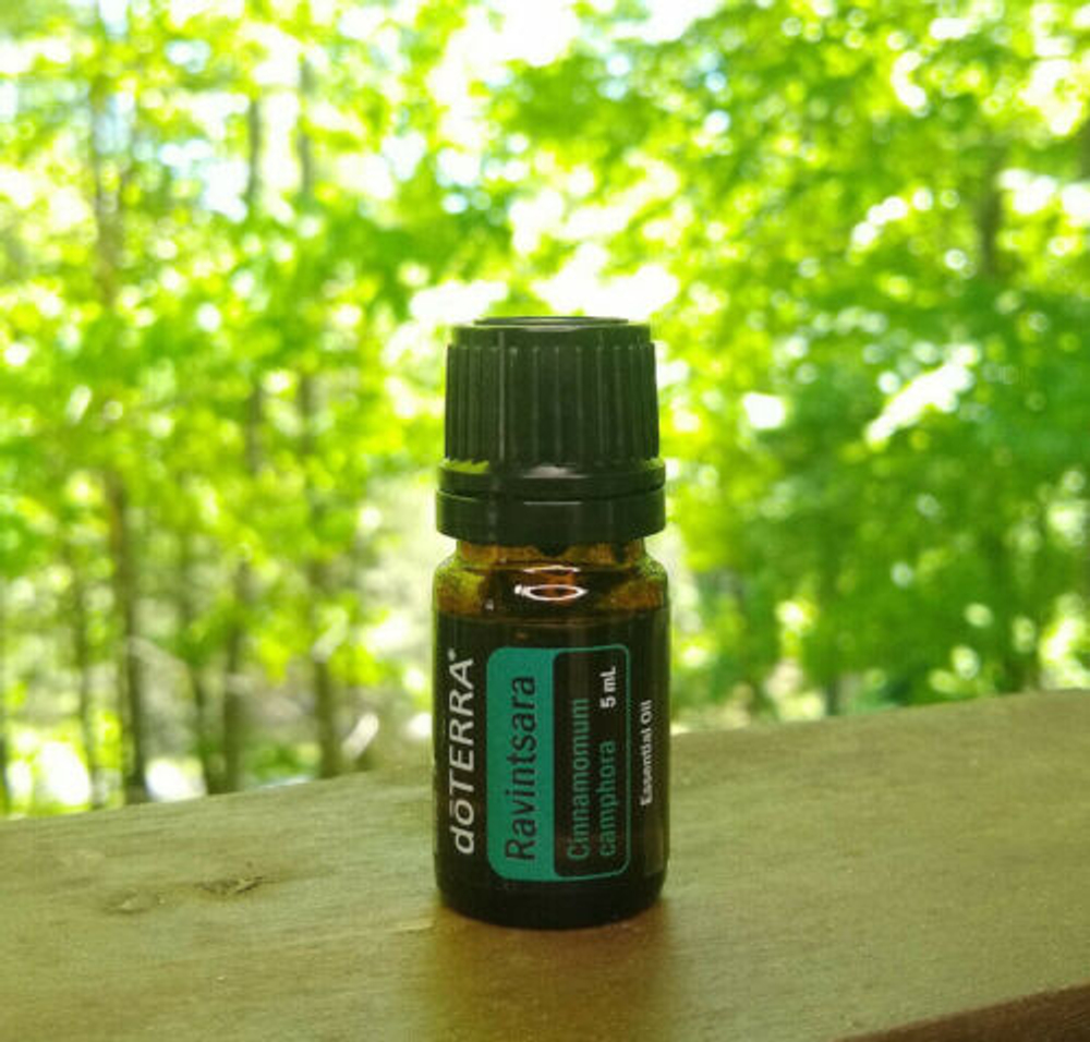 Эфирное масло dōTERRA Равинтсара, Ravintsara, 5 мл