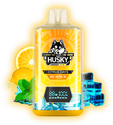 HUSKY CYBER 2.0 18000