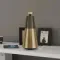 Bang &amp; Olufsen Beosound 2 3rd Gen Gold Tone
