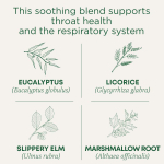 Traditional Medicinals, Organic Throat Cover®, эвкалипт, без кофеина, 16 упакованных чайных пакетиков, 28 г (0,99 унции)