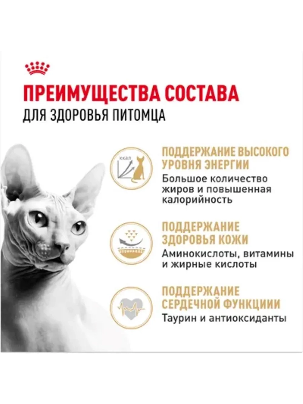 Sphynx Adult Корм для кошек 2кг