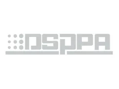 DSPPA переходник сетевой с китайской вилки на евровилку, с заземлением