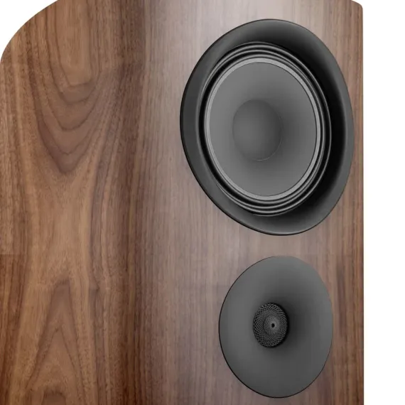 Canton Reference 9 GS Edition Walnut