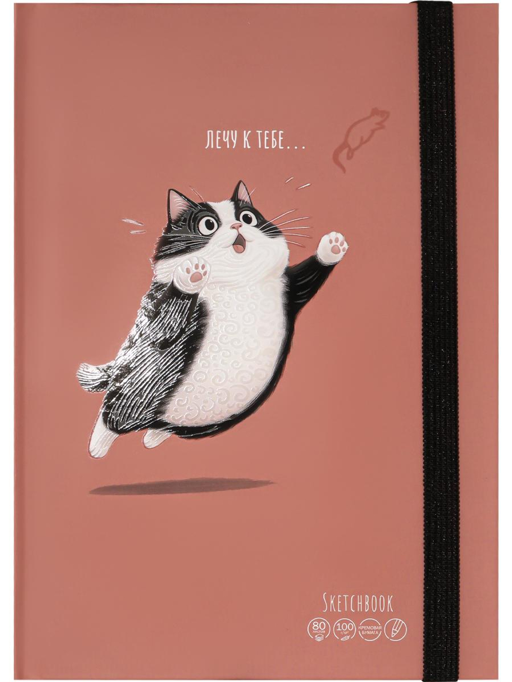Скетчбук А5 80л. "Милый пушистый кот" книжн, 7БЦ, матовая лам, выб.лак, резинка (Проф-Пресс)