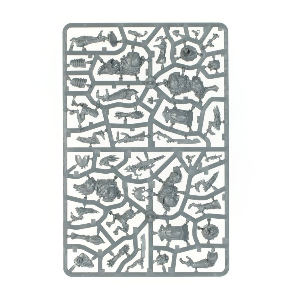Combat Patrol: Kroot