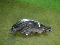 DSCN5485.jpg