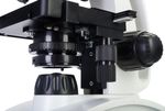 Микроскоп Levenhuk Discovery Atto Polar с книгой