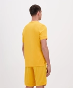 Футболка игровая DIVISION PerFormDRY Union Jersey, желтый