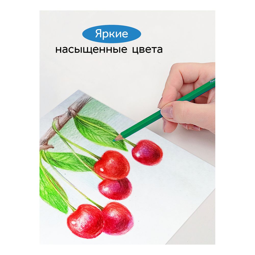 Карандаши цветные 12цв. Гамма Классические 050918_02_02