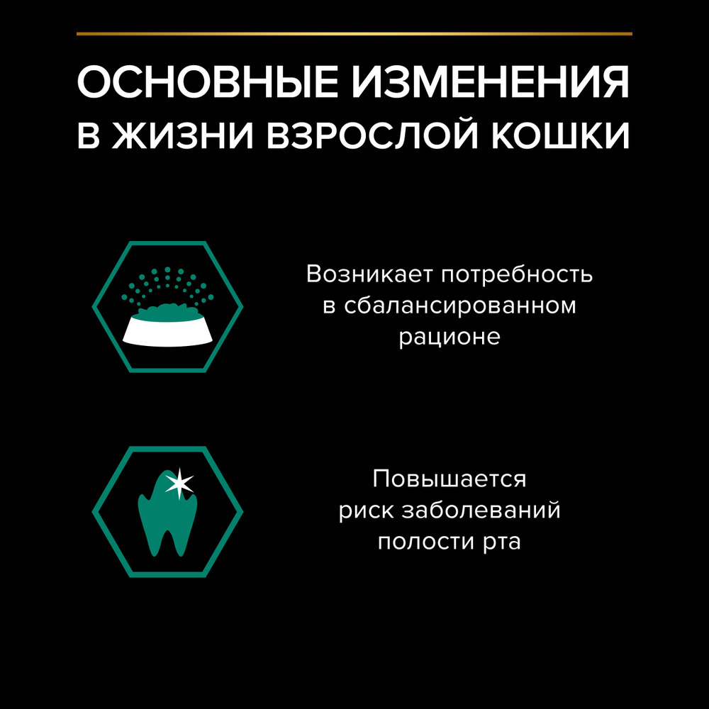 Паучи PRO PLAN MAINTENANCE для взрослых кошек живущих дома с курицей в соусе 26х85г