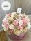 Blush Bloom Collection