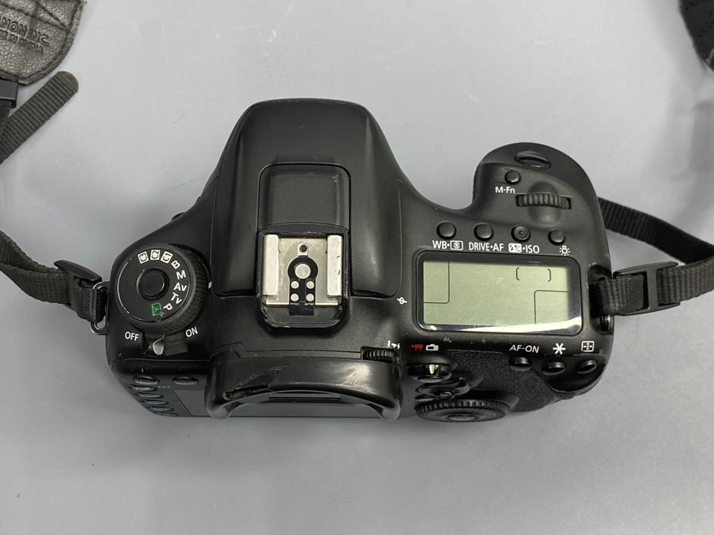 Canon 7D Mark II 117.000 кадров