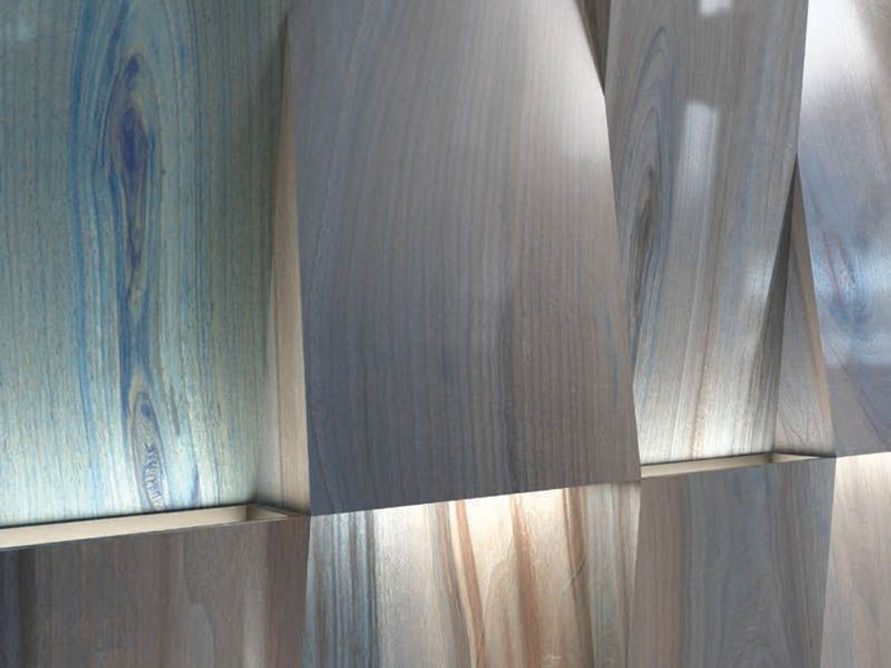 KAURI