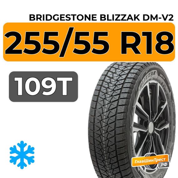 Bridgestone Blizzak DM-V2 255/55 R18 109T XL