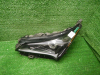 DSCN8673.JPG