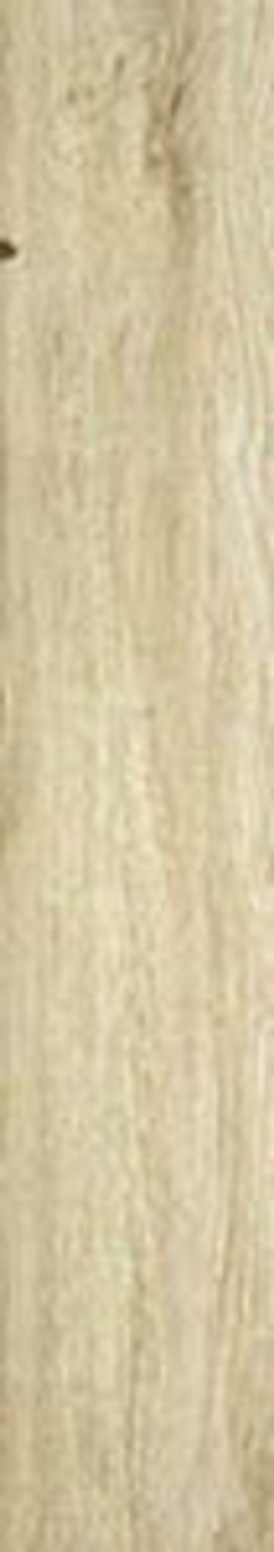 Керамогранит Springwood Natural MT